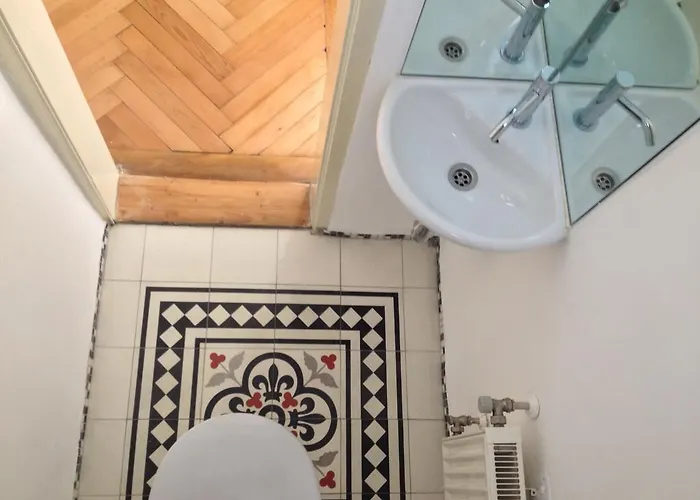 Big Vintage Style Flat Near Schoenbrunn וינה