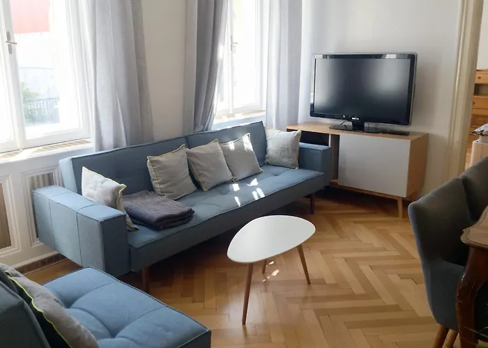Big Vintage Style Flat Near Schoenbrunn דירה וינה