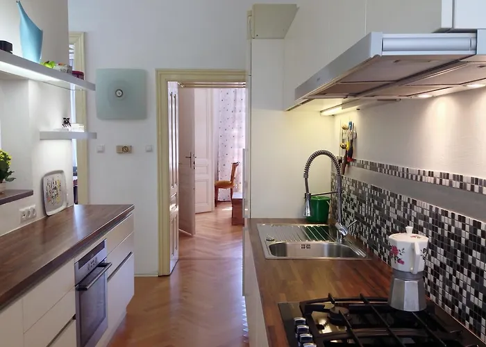 Big Vintage Style Flat Near Schoenbrunn דירה *